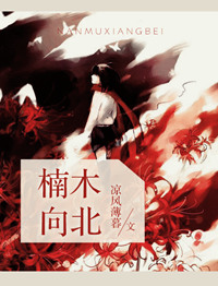 楠木向北 小说